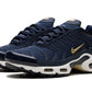 Nike Air Max Plus French Football Federation