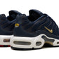 Nike Air Max Plus French Football Federation
