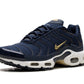 Nike Air Max Plus French Football Federation