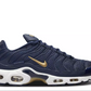 Nike Air Max Plus French Football Federation